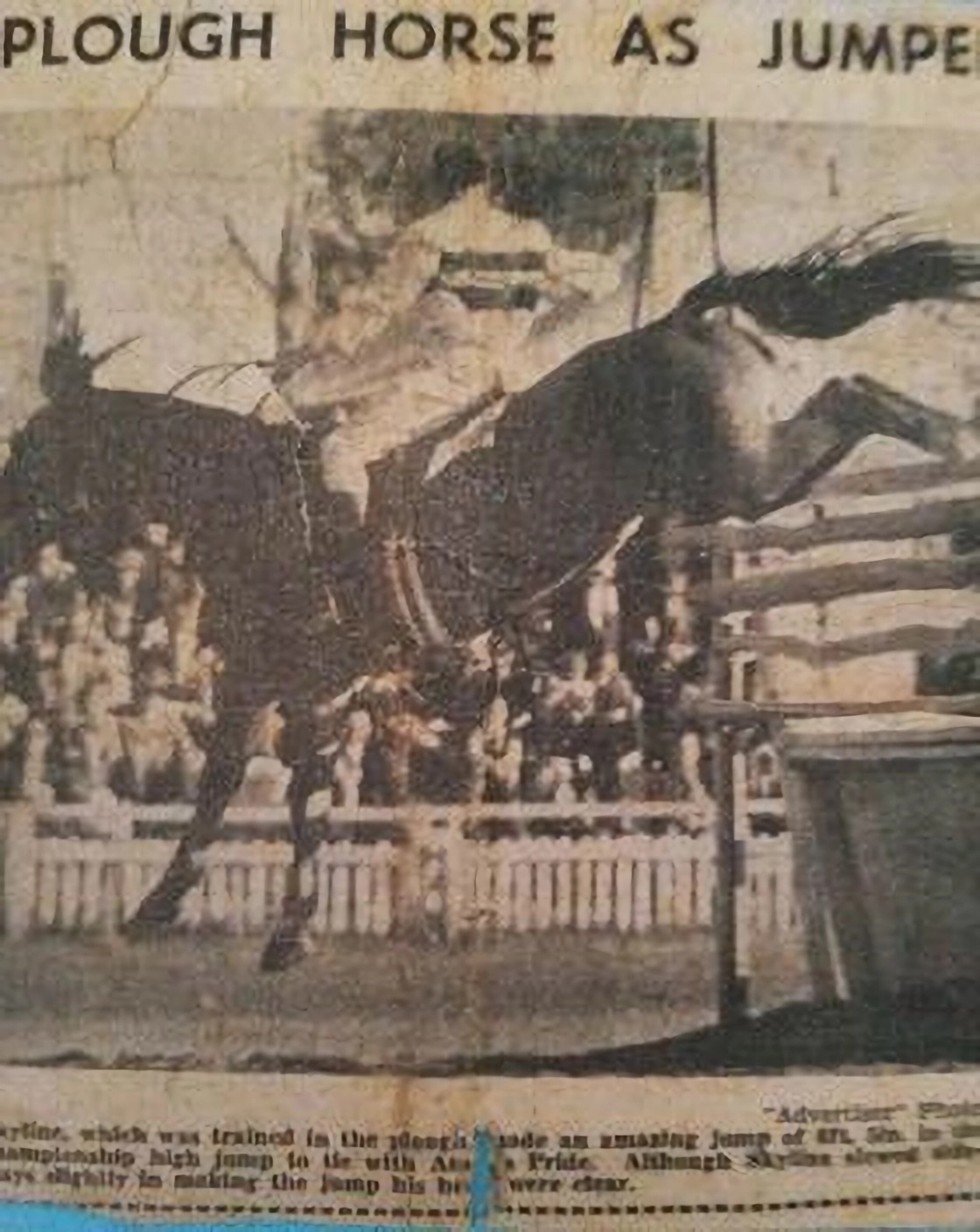 Allan Peach jumping 6ft 8 Winning One of many Puissance Jumping Comps ⭐⭐⭐